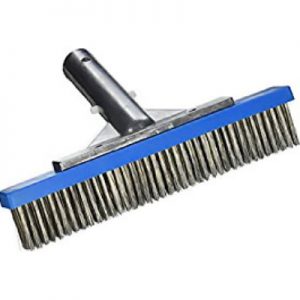Algae-Brush