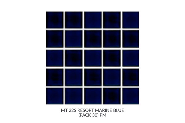MT-22S-BL-15-R-NET-PACK-30-PM
