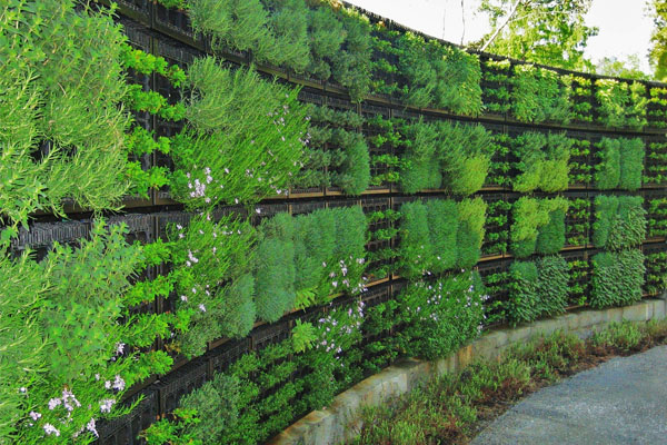 vgm-green-wall