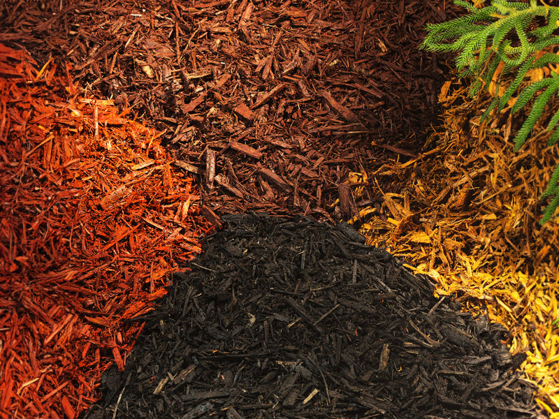 coloured-wood-mulch-desert-turfcare-general-trading copy