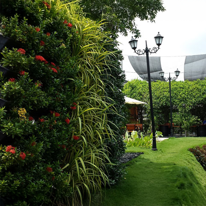 dtgt-home-hero-image