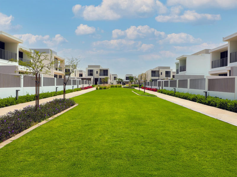 desert-turfcare-general-trading-about-us-page-image